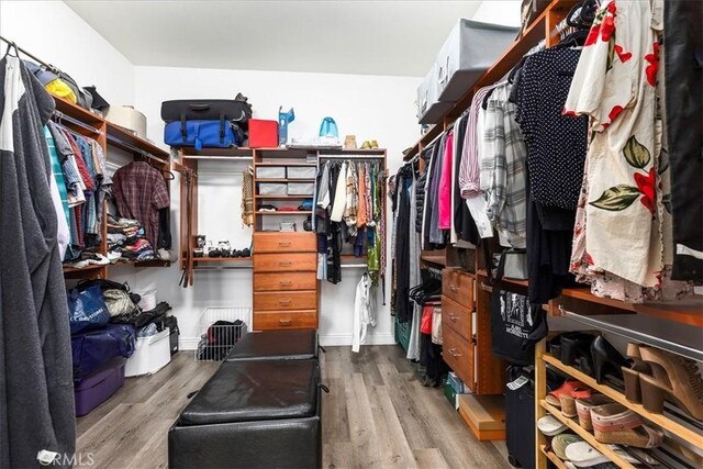 walk in closet featuring wood finished floors