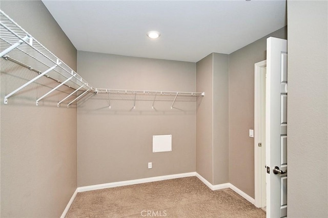 spacious closet featuring carpet flooring