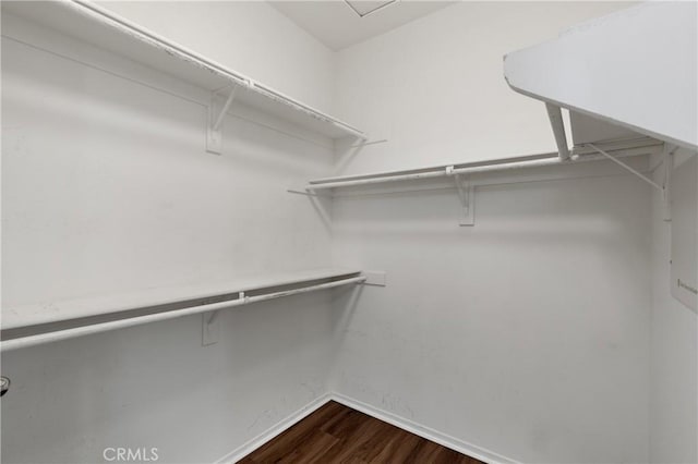 walk in closet featuring dark wood-style flooring