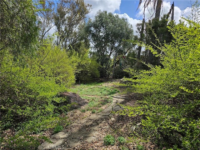 view of local wilderness