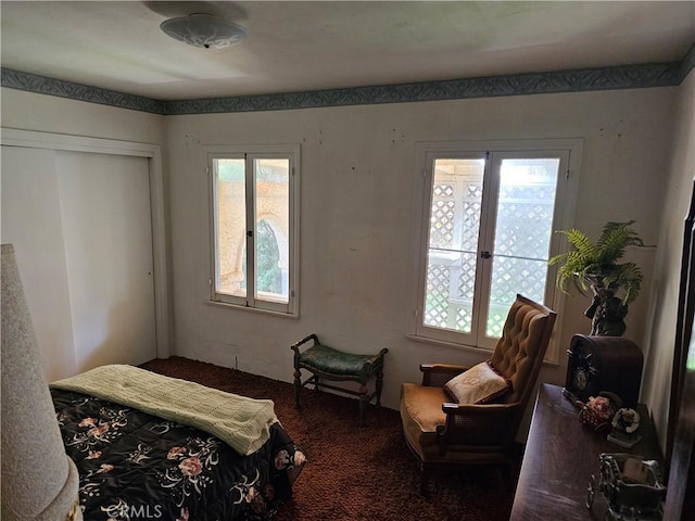 carpeted bedroom with a closet