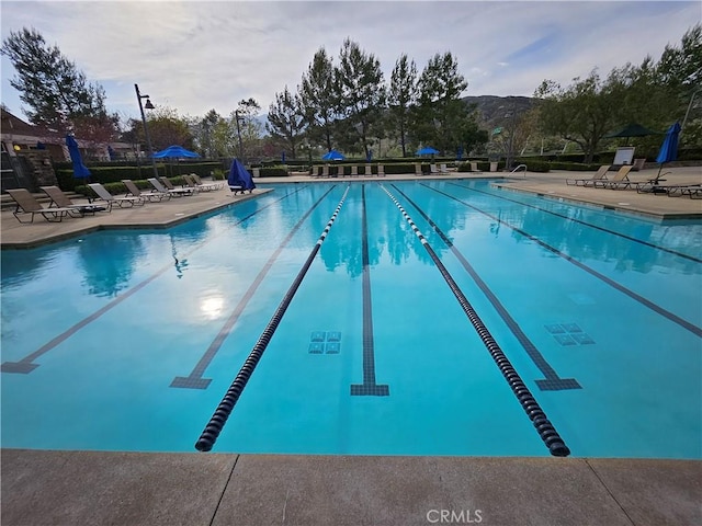 community pool featuring a patio area