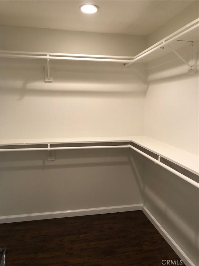 spacious closet with dark wood-style floors