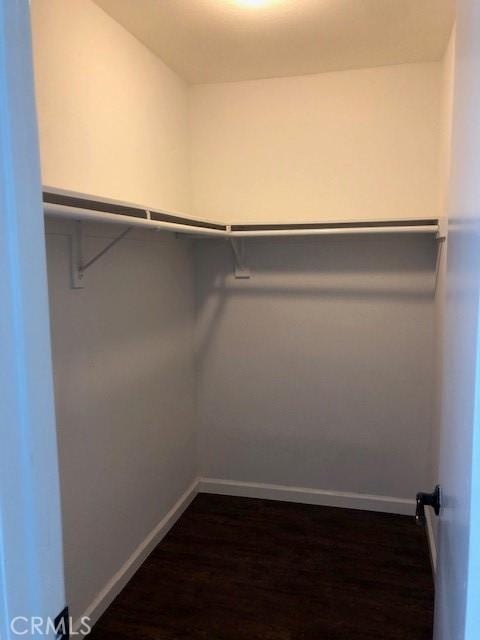 walk in closet featuring dark wood-style floors