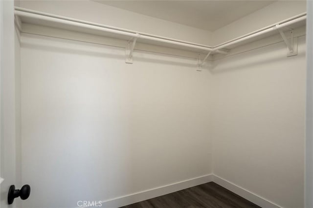 spacious closet with dark wood-style flooring