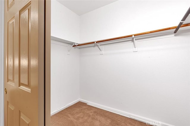 walk in closet with light carpet