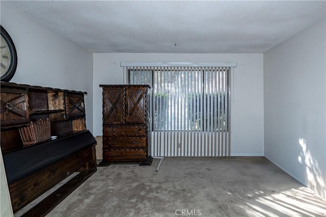 interior space featuring baseboards and a textured ceiling