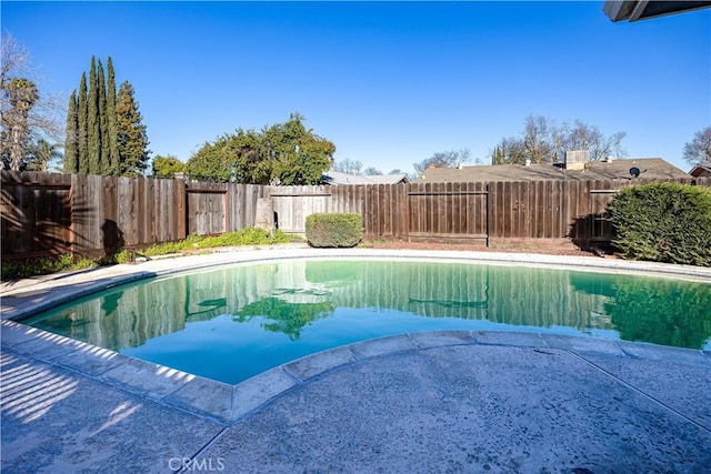 view of swimming pool with a fenced backyard and a fenced in pool