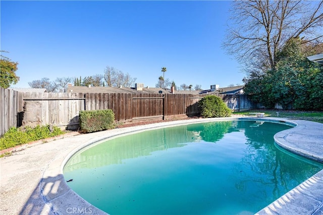 view of swimming pool featuring a fenced backyard and a fenced in pool