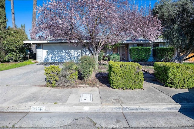 view of property hidden behind natural elements featuring driveway and a garage