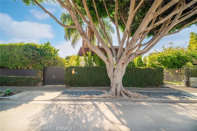 exterior space with a fenced front yard and a gate