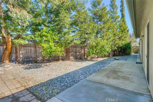 view of yard with a patio and a fenced backyard