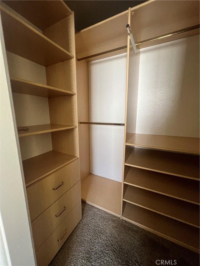 walk in closet with carpet