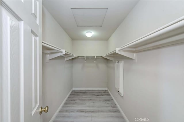 walk in closet with attic access and light wood-style floors