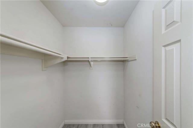 spacious closet with wood finished floors