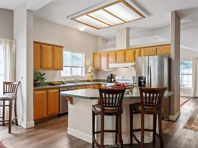 kitchen with stainless steel appliances, dark wood-style flooring, plenty of natural light, and under cabinet range hood