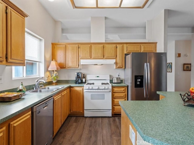 kitchen with under cabinet range hood, dark wood finished floors, stainless steel appliances, and a sink