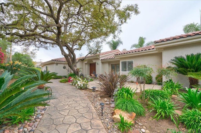 view of front of house featuring a tiled roof, a patio area, and stucco siding