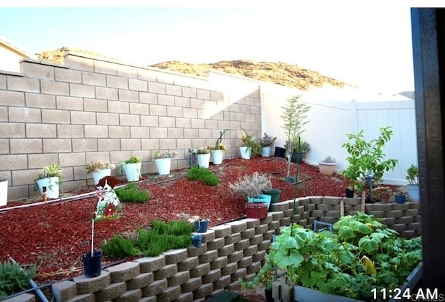 view of yard with a fenced backyard