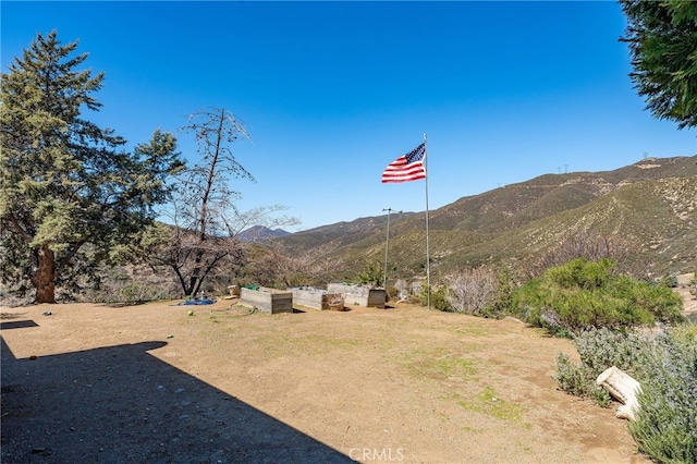 view of yard with a mountain view