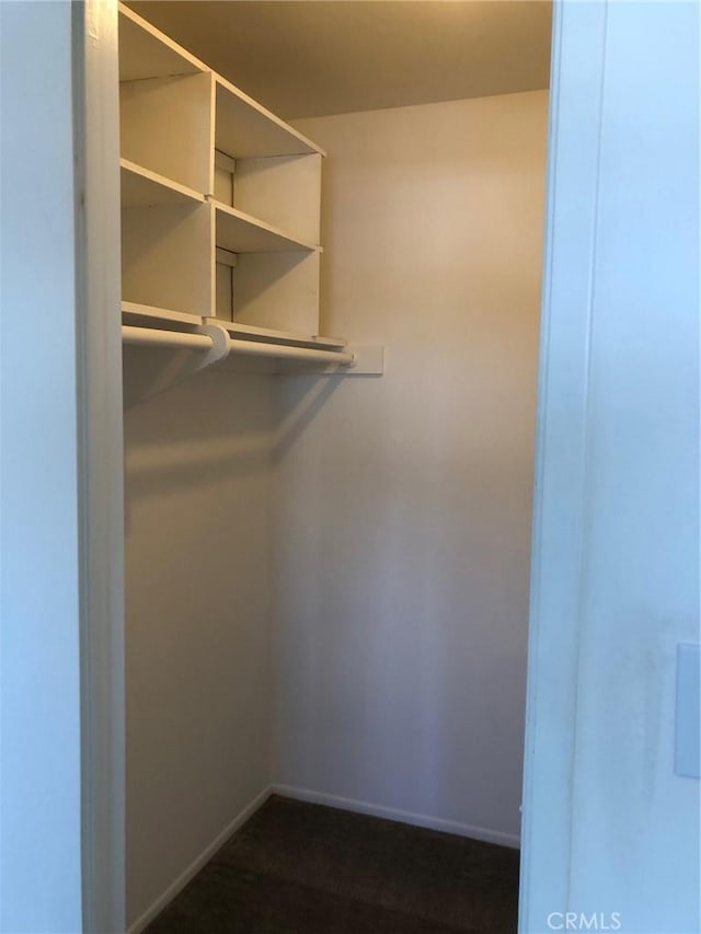 view of walk in closet