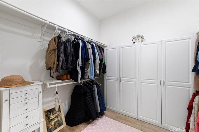 spacious closet with light wood-type flooring