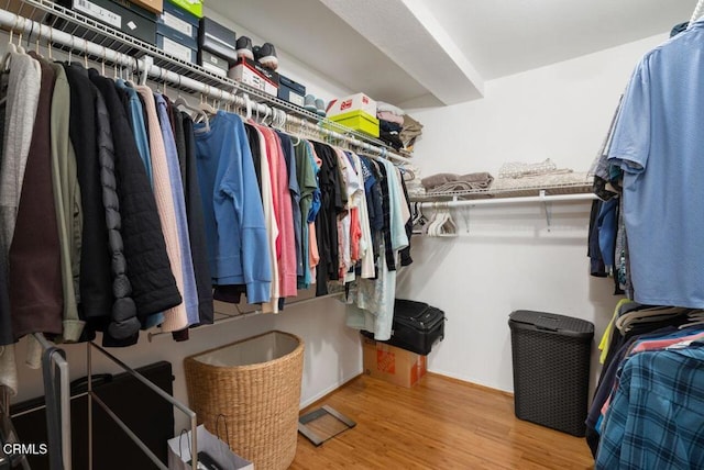 spacious closet featuring wood finished floors