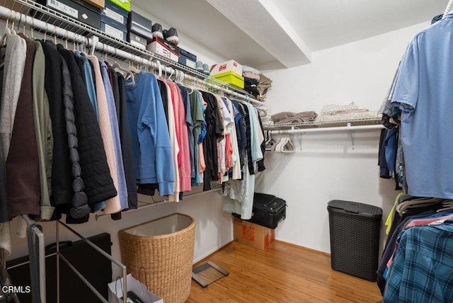 walk in closet featuring wood finished floors