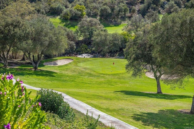 surrounding community featuring a lawn