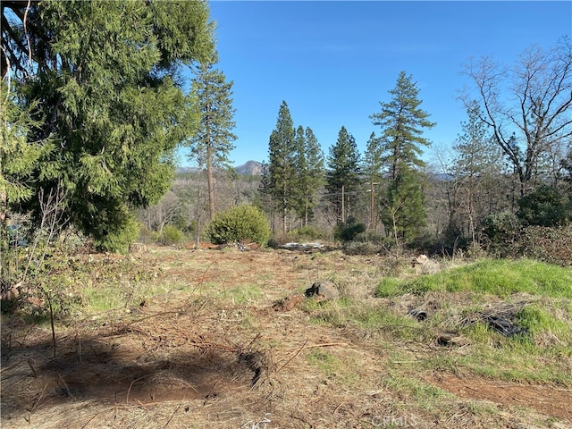 view of landscape with a view of trees