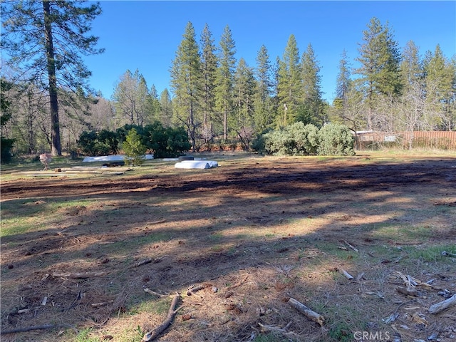 view of yard featuring a wooded view