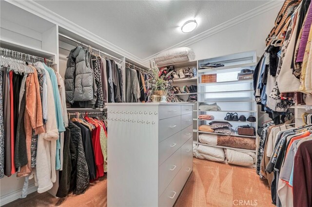 spacious closet with carpet floors