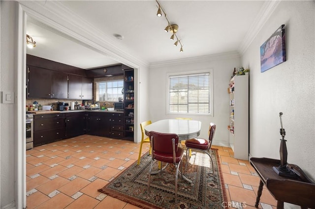 dining area featuring rail lighting and ornamental molding