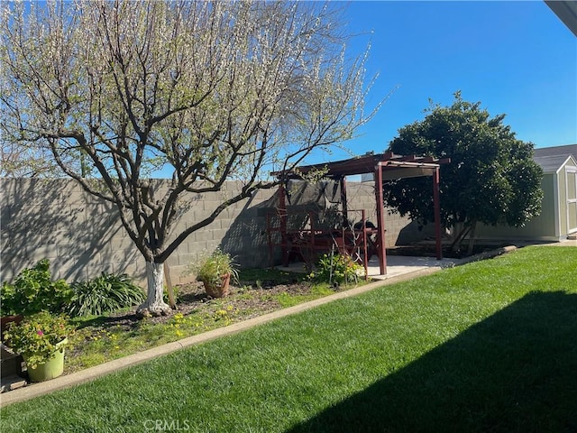 view of yard with a patio, a fenced backyard, an outdoor structure, a shed, and a pergola