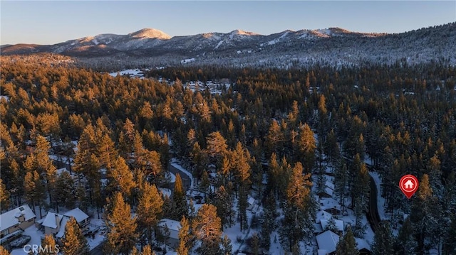 view of mountain feature featuring a wooded view