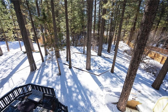 view of yard covered in snow