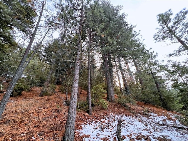 1309 Zermatt Ct, Pine Mountain Club CA, 93222 land for sale