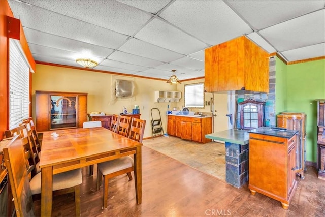 dining space with a paneled ceiling, light wood-style floors, and baseboards