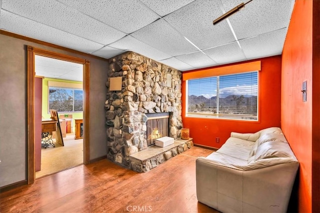 interior space featuring baseboards, a drop ceiling, wood finished floors, and a stone fireplace