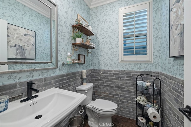 half bath with wainscoting, wallpapered walls, toilet, and a sink