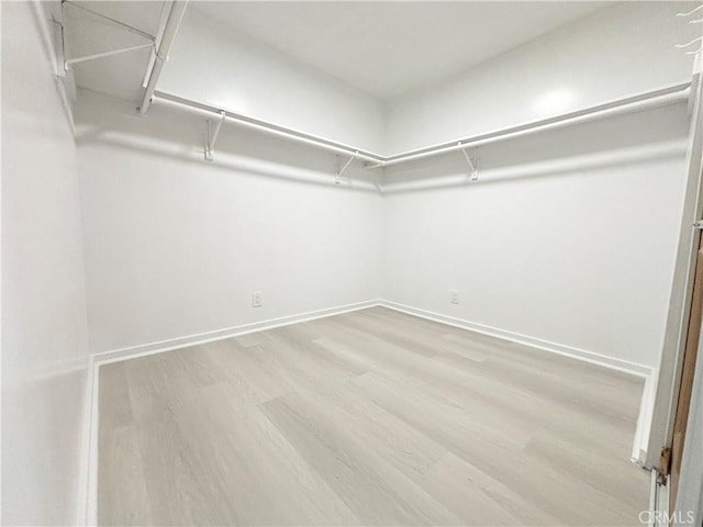 spacious closet featuring wood finished floors