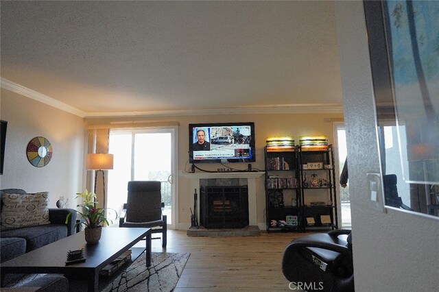 30266 Via Reata, Laguna Niguel, CA 92677 - living room featuring crown molding, wood finished floors, and a fireplace with raised hearth
