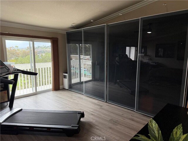 30266 Via Reata, Laguna Niguel, CA 92677 - exercise room with crown molding, wood finished floors, and lofted ceiling