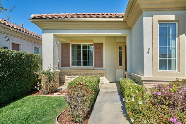 doorway to property featuring stone siding, a tile roof, and stucco siding