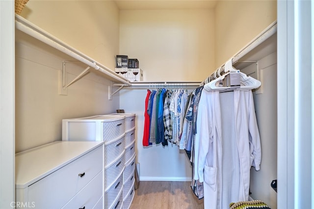 walk in closet featuring wood finished floors