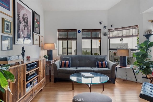 living room featuring a healthy amount of sunlight and hardwood / wood-style flooring