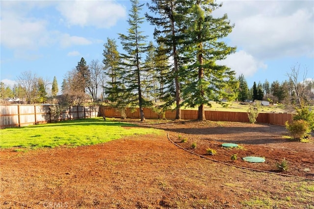 view of yard featuring a fenced backyard