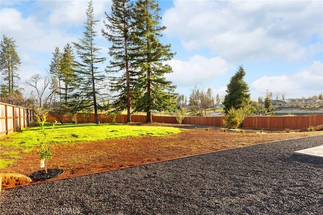 view of yard with a fenced backyard