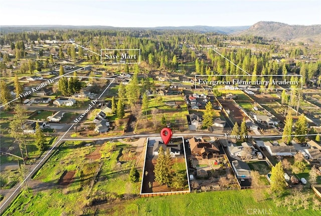 drone / aerial view featuring a mountain view