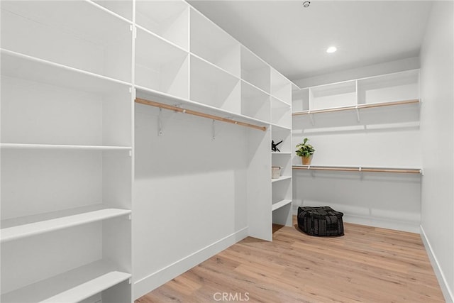 spacious closet featuring wood finished floors